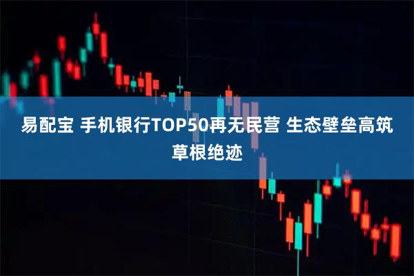 易配宝 手机银行TOP50再无民营 生态壁垒高筑草根绝迹