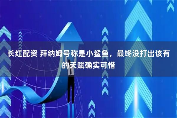 长红配资 拜纳姆号称是小鲨鱼，最终没打出该有的天赋确实可惜