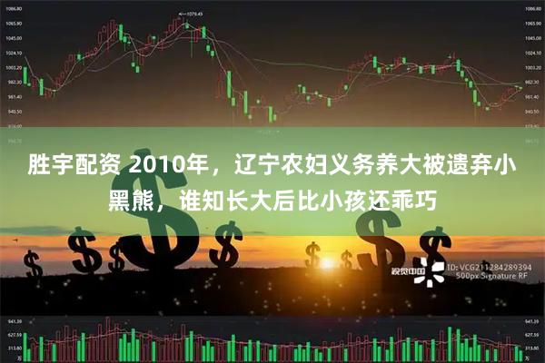 胜宇配资 2010年，辽宁农妇义务养大被遗弃小黑熊，谁知长大后比小孩还乖巧